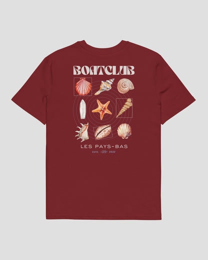 Seashell Collection - Burgundy
