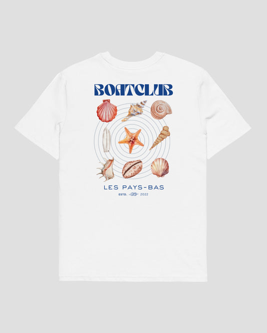 Seashell Collection - White